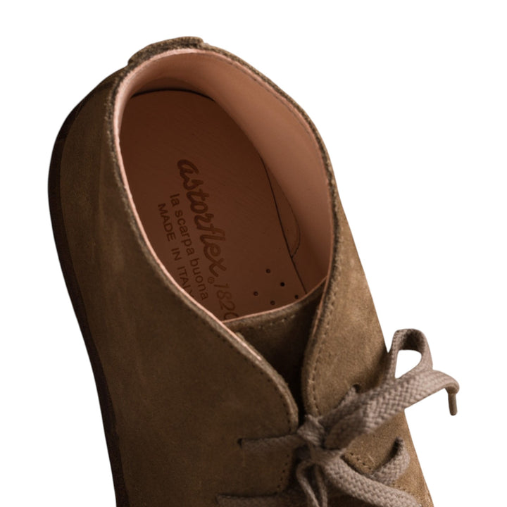 GREENFLEX ET TORTORA